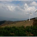 매봉산2 이미지