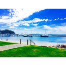 신안산대학로 이미지