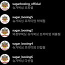 명복싱 | [왕십리역 복싱] 누구나 날려버리고 싶은 사람이 한명씩은 있다 - ☆ 슈가복싱으로 격파해본 후기