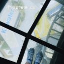 컴포즈커피시흥시화나래점 | 대부도 카페 | 이루나, 시화나래조력전망대에서 즐기는 스카이워크와 서해 파노라마 오션뷰 카페