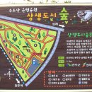 비비정 상생 도시숲 이미지