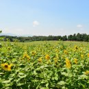 공음농장 이미지