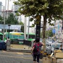 피자알볼로공릉하계점 이미지