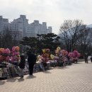 뮤지컬 | 원주 백운아트홀, 사랑의하츄핑 뮤지컬 후기