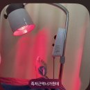 비타러닝실로암학원 | 족저근막염 너가 왜 내 러닝을 막아 - 족저근막염 치료 썰.