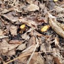 은한농장 이미지