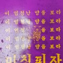 미친피자 동대문직영점 | 미친피자 동대문직영점에서 피자배달시켜먹었어요!