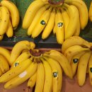 충주청과 이미지