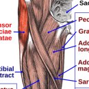 장경한의원 이미지