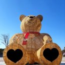 다목적광장 공중화장실 이미지