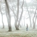 솔밭공원1 이미지