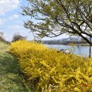 금호강3 이미지