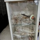 전통한복과 퓨전한복 만들기 | 대구 한복대여, 인생샷 건지는 좋은날에서 경험해보세요!