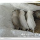 해도농원