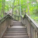 항골 게이트볼장 이미지