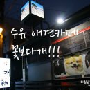 꽃보다 개 이미지