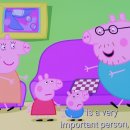 애니피그 이미지