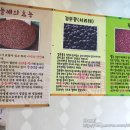 수완콩물팥죽 이미지