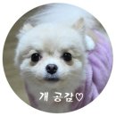 남양왕족발보쌈 이미지