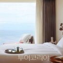 다원윈 이미지