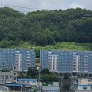 세진하나로마트 이미지