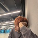 비로소 가을 이미지