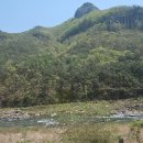 오렌지 꽃향기는 바람에 날리고 이미지