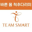 팀스마트 네이버블로그