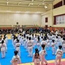 마이 태권도장 | 능곡태권도 공개심사발표회 찢었다🤨