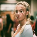 유포리아(Euphoria) 이미지