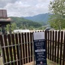 동아실(반장1교전) | 인제 러빙네이쳐캠핑장 뷰는 최고! 2박3일 이용후기