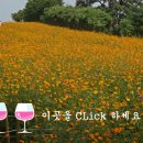 향기마루 이미지