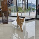 안경매니져반석점 이미지