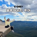 블루마운틴관광호텔 | 시드니 블루마운틴 투어 별빛투어 날씨 옷차림 효도관광 예약 팁