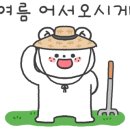 카레후카미&수제카츠