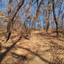 청주 당산토성 이미지