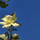 의료법인거명의료재단 영광기독신하병원 이미지