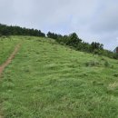 표선면-7 이미지