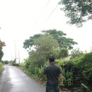 삼이네 펜션 | 늦었지만 정산하기