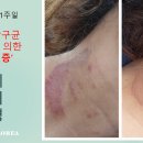 (주)보노코리아