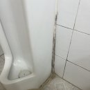 연수상가 | 인천 연수구 상가 화장실 청소 전후 후기