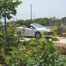 별별농장 이미지