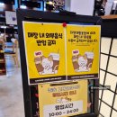 놀숲고대