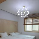 스테이매자미 이미지