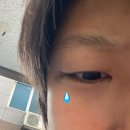 비에이치씨(BHC)성당본점 | 일본어일본학과에 어.. 어서 도망쳐!!!