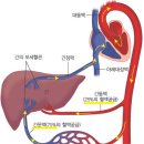 정우신약(주) 이미지