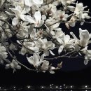 신정호수공원-6 이미지