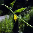 은운리 경로당 이미지