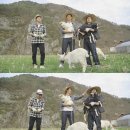 삼시세끼흑염소 헤럴드경제