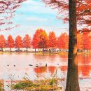 메타길5(어린이프로방스) 이미지